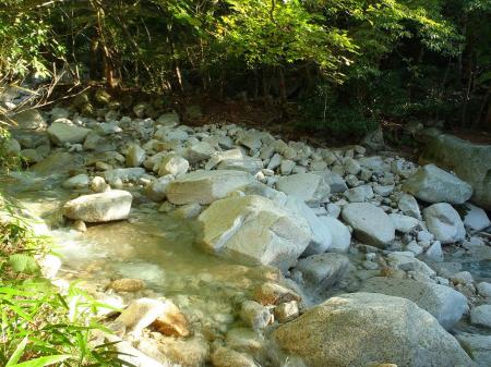 増水してたらこれは渡れないかも
