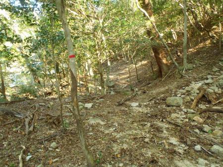 沢沿いを歩いていく