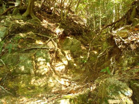 トラロープなどあり