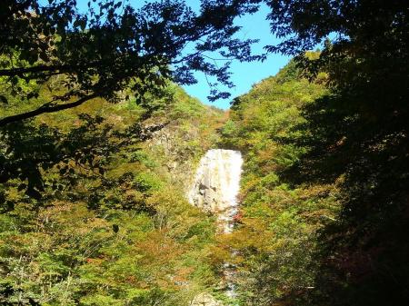 滝は結構な高さと水量