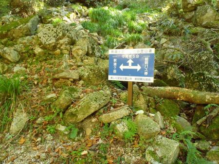 ここで中尾根へ行けるっぽいけど、このまま最後まで沢をつめる