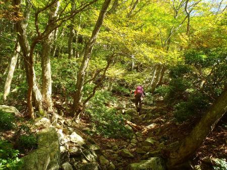 この付近から沢から外れて尾根へ登っていく。しかしガレ場の多い登山道