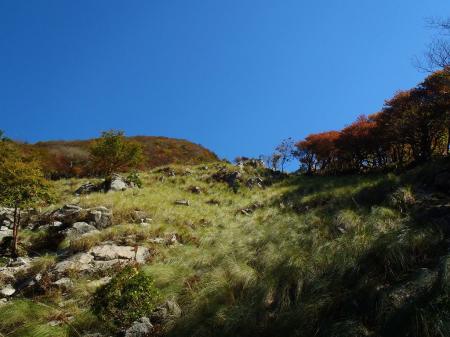 ひらけた草原地帯！？に出た