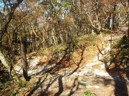 ここで分岐だけど、とりあえず釈迦ヶ岳の山頂三角点に向かう