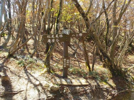 さっきの分岐にもどり今度はハト峰のほうへ向かう