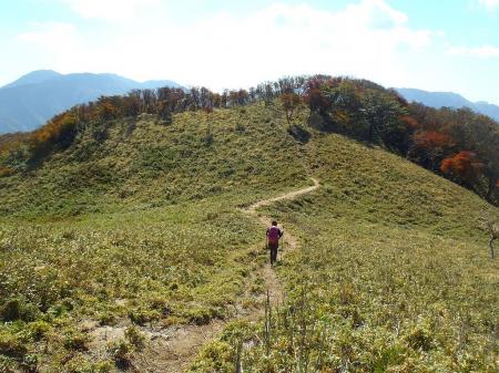 草原地帯があったりする気持ちの良い稜線歩き