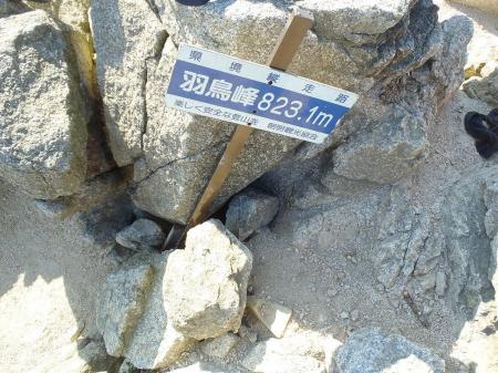 羽鳥峰(823.1m)に到着。ハト峰って漢字もあったのね