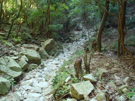 沢筋は踏み跡があってわかりやすいけど、やはりガレ場や岩場が多く歩きにくい