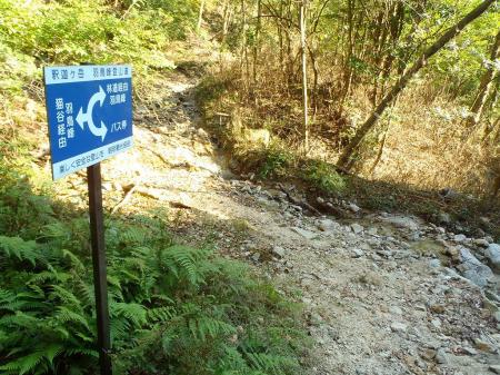 ここまでくるとすぐそこから林道歩きになる