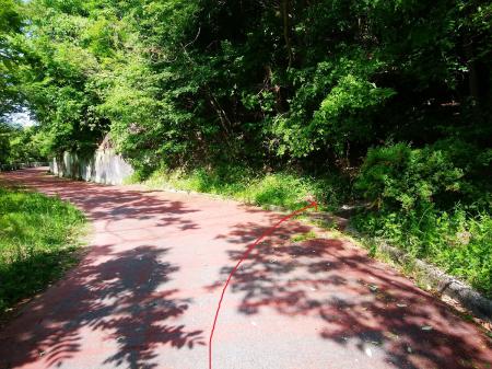 ここを右に入って谷筋を登ることになる。実はこの手前にも登れそうなところあったんだけどね