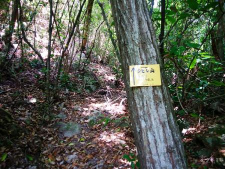 谷筋の入口にシビレ山へのプレートがあった