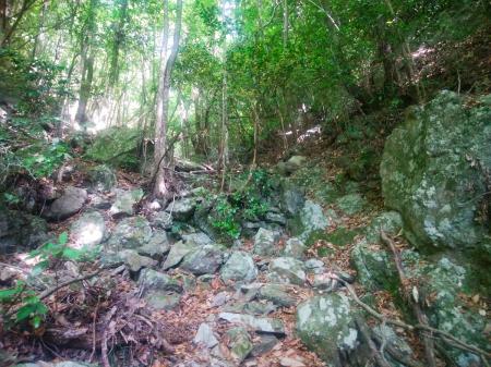 この谷筋のルートは一本道でありながら踏み跡とかないのでわかりにくい