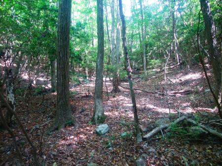 谷の奥はだだっ広い場所になるがテープもあるし迷うことはない。でも初心者向けのコースではないね