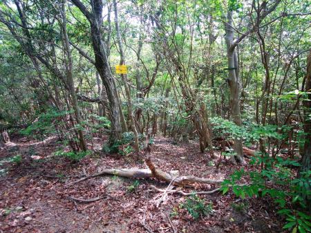 ここで分岐。北山のほうにいってみたいのでここでルートから少し外れる