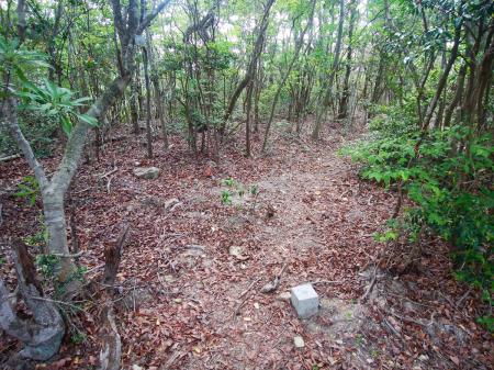 北山(370.1m)に到着。三角点もちゃんとあった