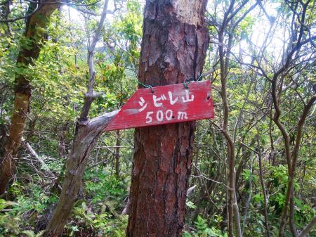 シビレ山まで500mなのか！？さっきから250mしかきてないってことになるが・・・