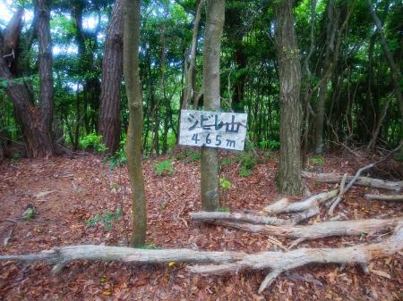 シビレ山(465m)に到着。この標高でありながら結構時間かかったように思う