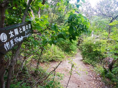 さっきの分岐に戻り丹生山のほうを目指していく