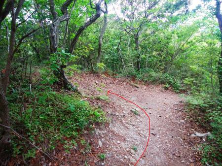 ここで地図を見ると512.7mの三角点があるはずなので、ルートから外れて左側の尾根を登る