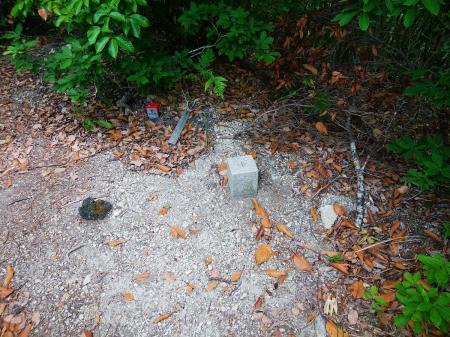 512.7mの三角点だが、本当に三角点しかない。山名とかもなかった