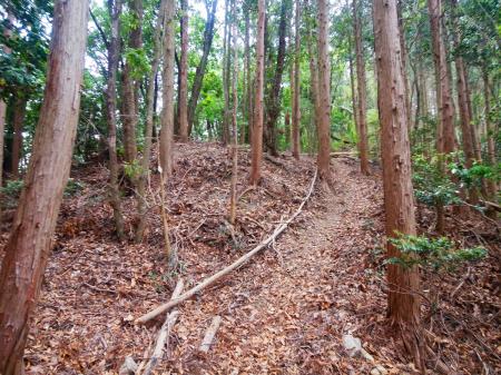 さっきの分岐から巻く形になるが踏み跡はしっかりあるので従って進んでいく
