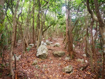 帝釈山への最後の登り。これを登りきったら山頂だけど、意外とすぐだった