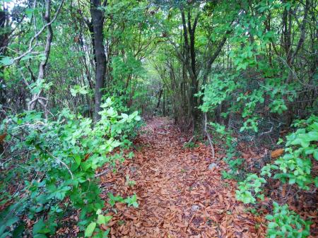 さてさて、ゆっくり休憩もしたし下山開始！