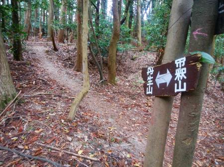 下山時はとりあえず丹生山を目指す