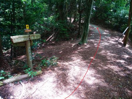 ここで分岐。丹生山は前方の舗装道をあがっていく