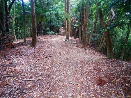 わかりにくいがここで分岐。つくはら湖方面はこれを右に行かないといけない