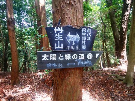 千年家の方面で間違いないので、その方向へ下っていく