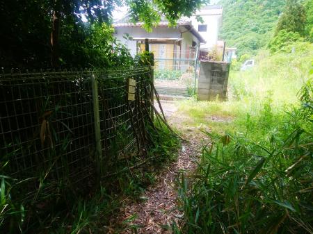 結構長い下りだったけど、ここで登山道は終わる