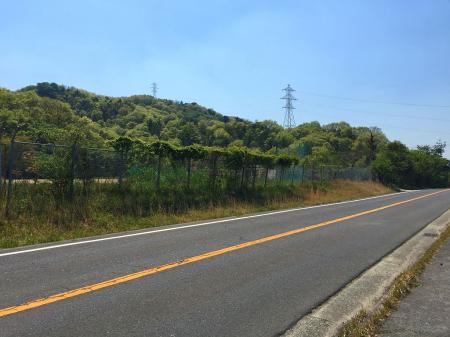 これからの登る尾根が見えた。二本目の鉄塔まですぐそう