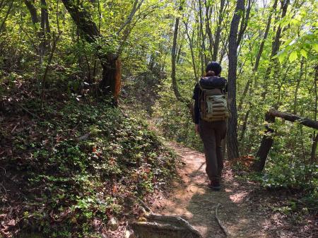 今回はテント泊用に購入したS嬢の47Lの新しいザックを装着。アルパイン用なんだが、まあ色とデザインが気に入ったらしいのでOK