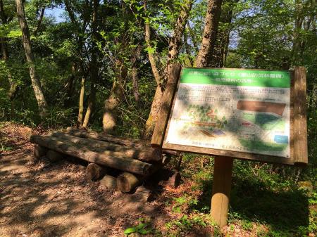 ここでちょっと休憩。気温がかなり高かったので水分補給