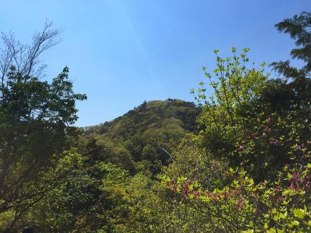 高丸山のピークが見えた。あれ高そう！って思いきや目の前にいってみるとそうでもなかった