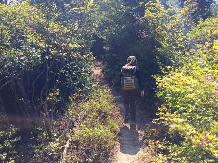 虫が多かったので昨年購入した虫除けネットを今年初で装着