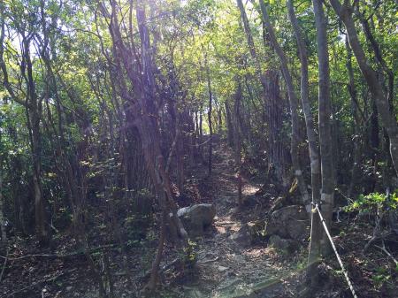 階段が終わるとまた山頂までちょい急登