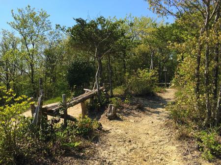 高丸山の山頂の広場