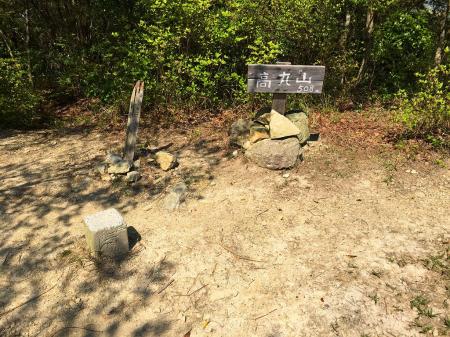 高丸山(508.5m)に到着。三角点もあり