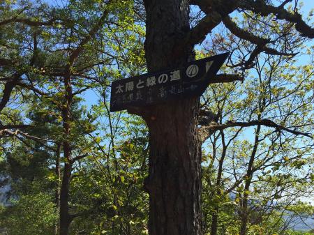 もう登り返しも虫も嫌なので、このまま即効道路にでて有馬温泉に降りて行こうということになった