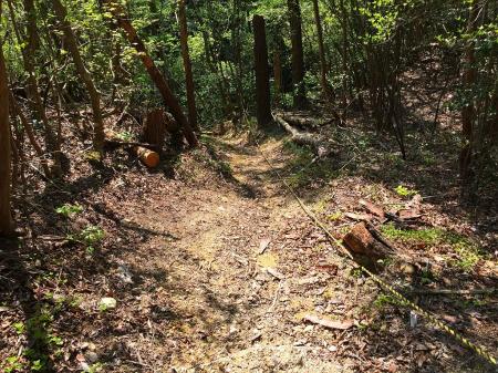 道路まで距離は短いものの、やはり一気に下るので急斜面ばかりだった
