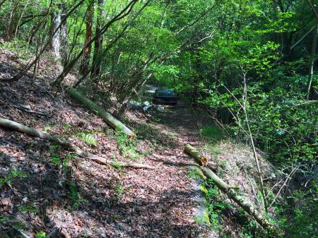 下りきったところに痛々しい不法投棄場所があった＞＜