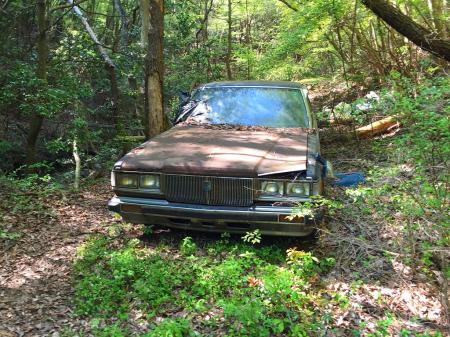 この車いつから捨ててあるんだろう！？