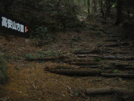 登山道はきっちり整備されている