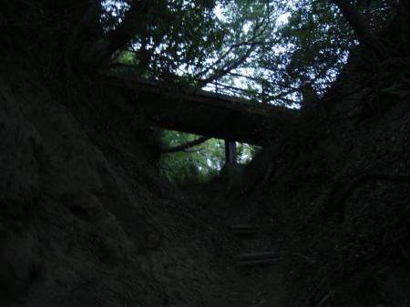 生駒縦走路の”かいうん橋”。ここまでくるとほぼ登りは終わり