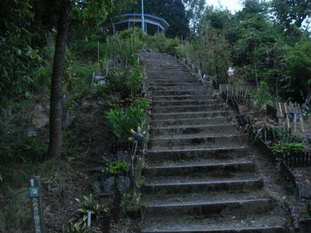 展望台直下の階段