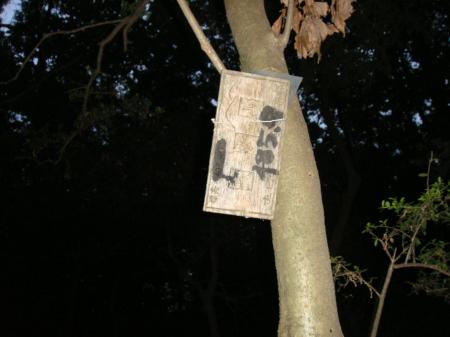 高安山頂(485.9m)