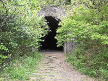再びトンネル。樹林があったりするのでJRの職員はこういうものの手入れが大変だったんだろうか！？