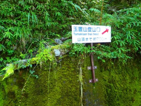 玉置神社駐車場から少し道路を戻ったところにある玉置山登山口。ここから登っていく